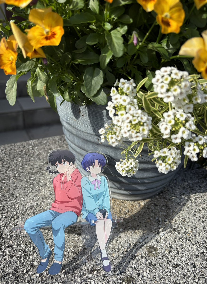 梅景@らんま1/2 tweet media