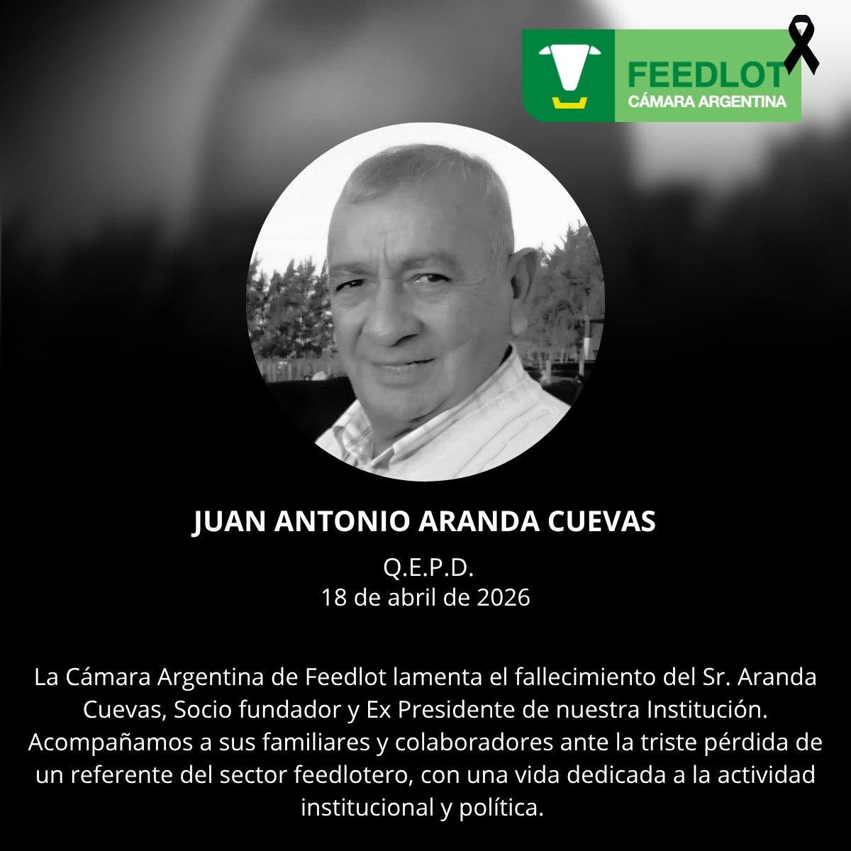Feedlot Argentina tweet media