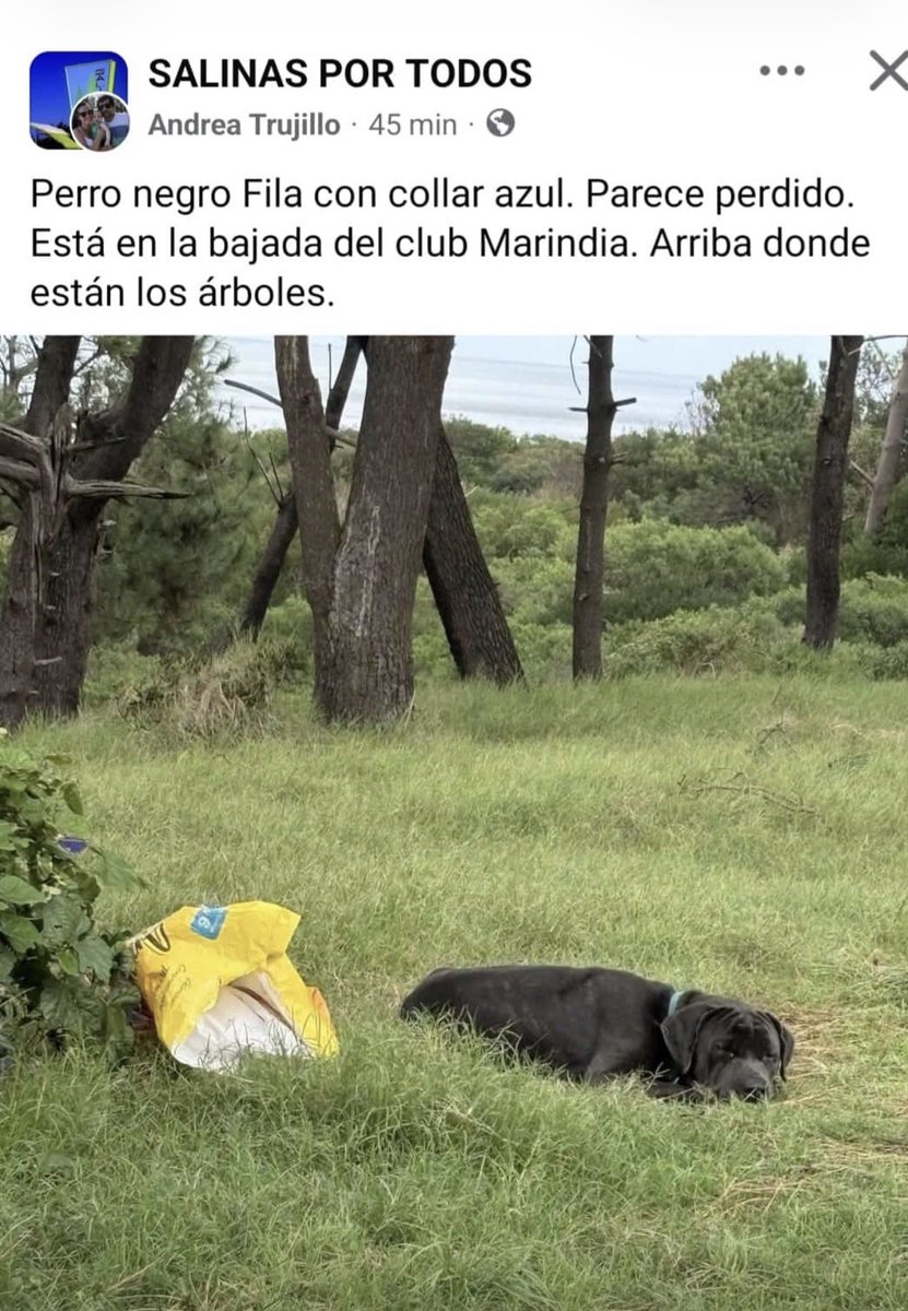 luis mattos tweet media