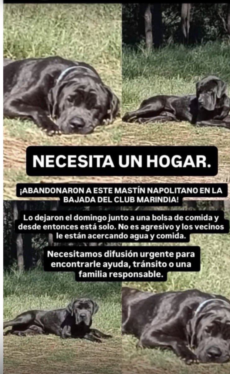 luis mattos tweet media