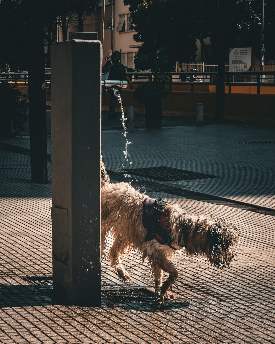 BA Landscapes tweet media