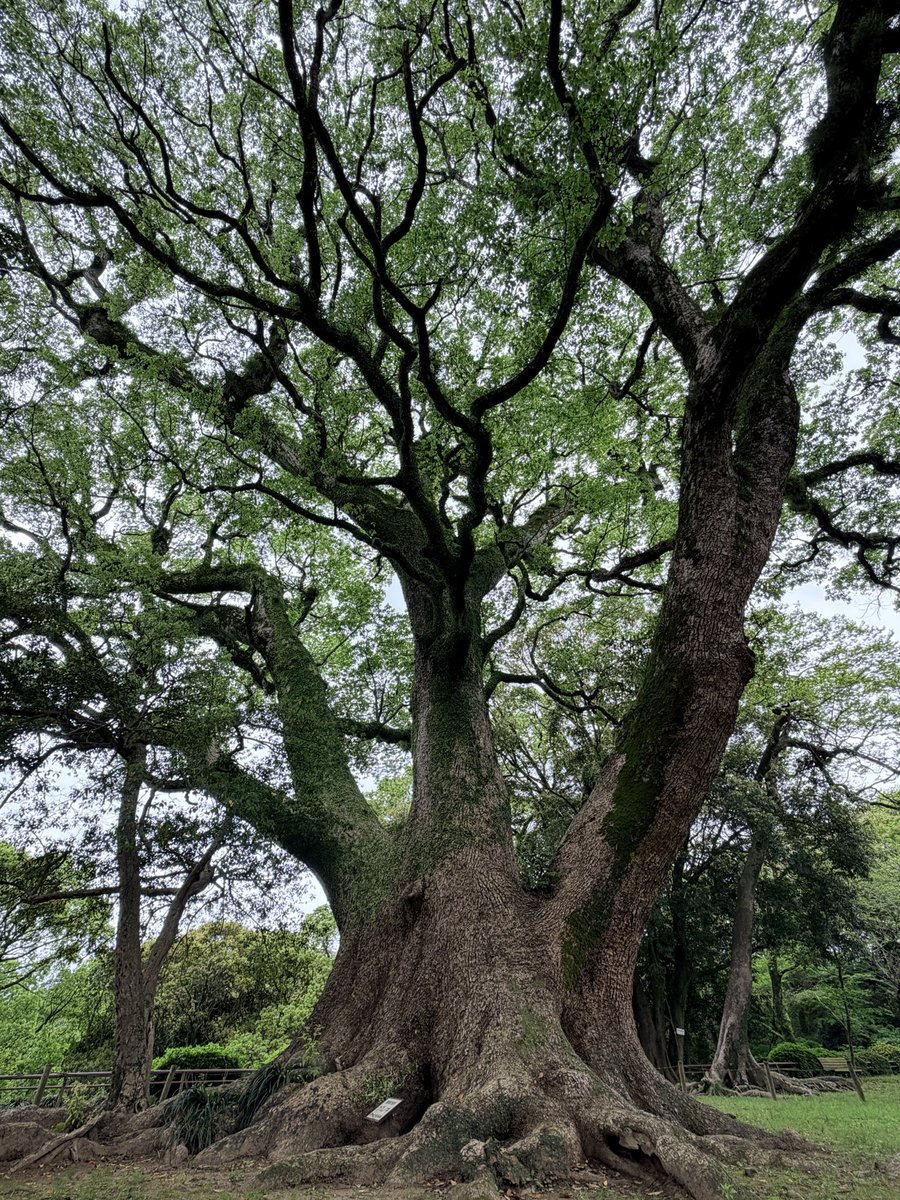 山田 拓斗 tweet media