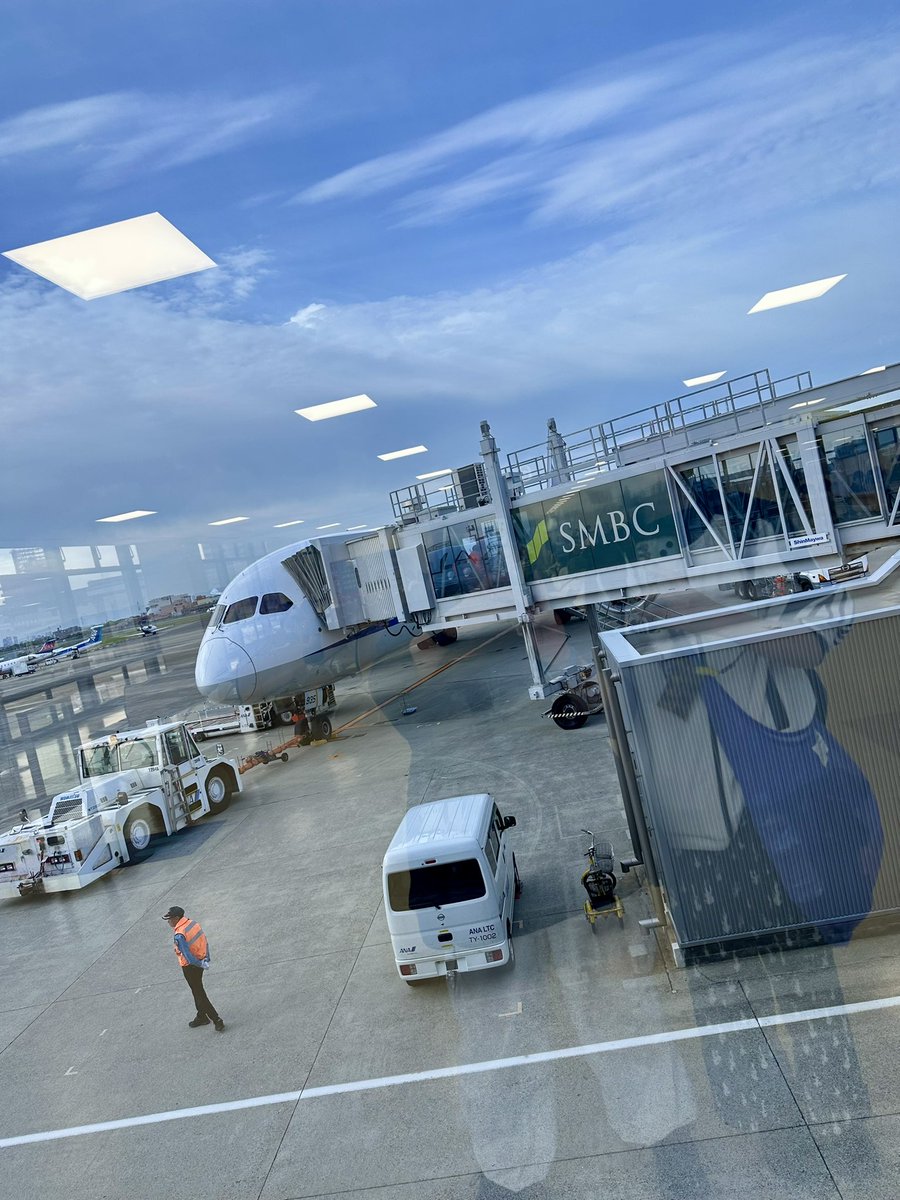 heaven🐟🐈‍⬛🐈 tweet media