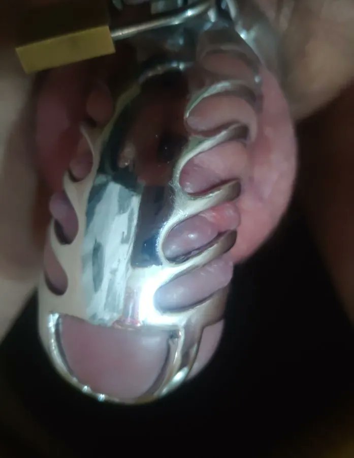 ToyPervert tweet media