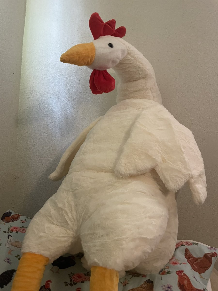 chicken boy 🐓 tweet media