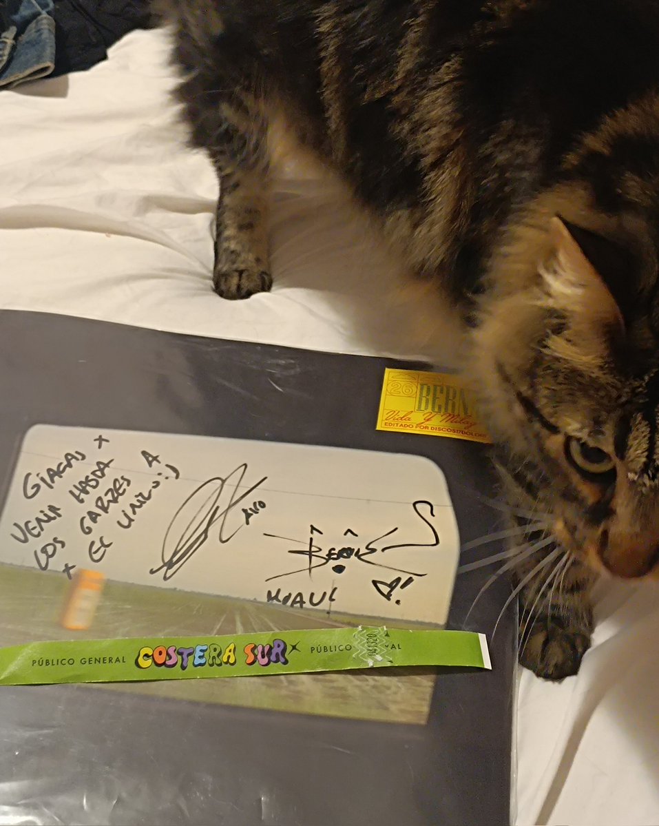 Peligrosa★María tweet media