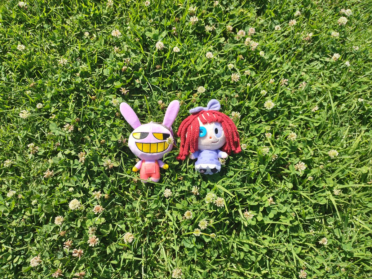 shan 🍀 tweet media