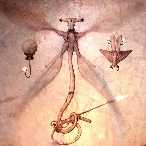 Deoz Hielos #Loneros🏴‍☠️☢️ tweet media