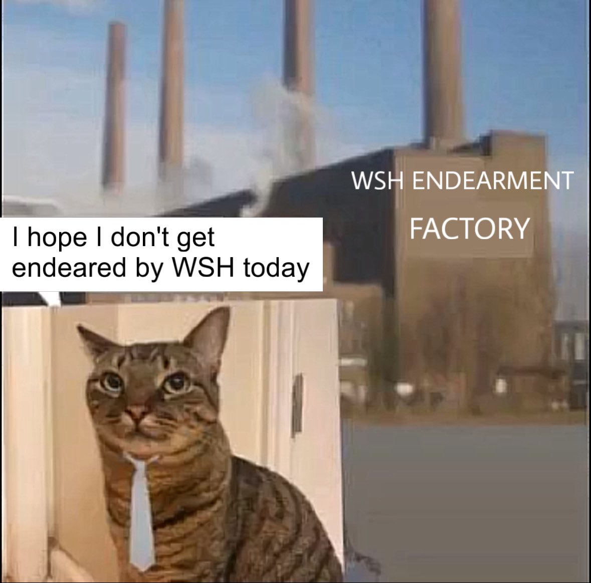 Melina🍦 tweet media