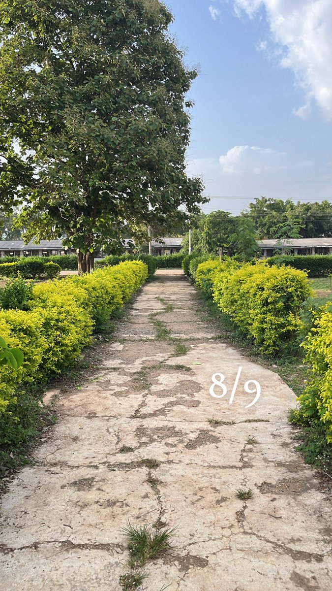 Bolu.dev👽 tweet media