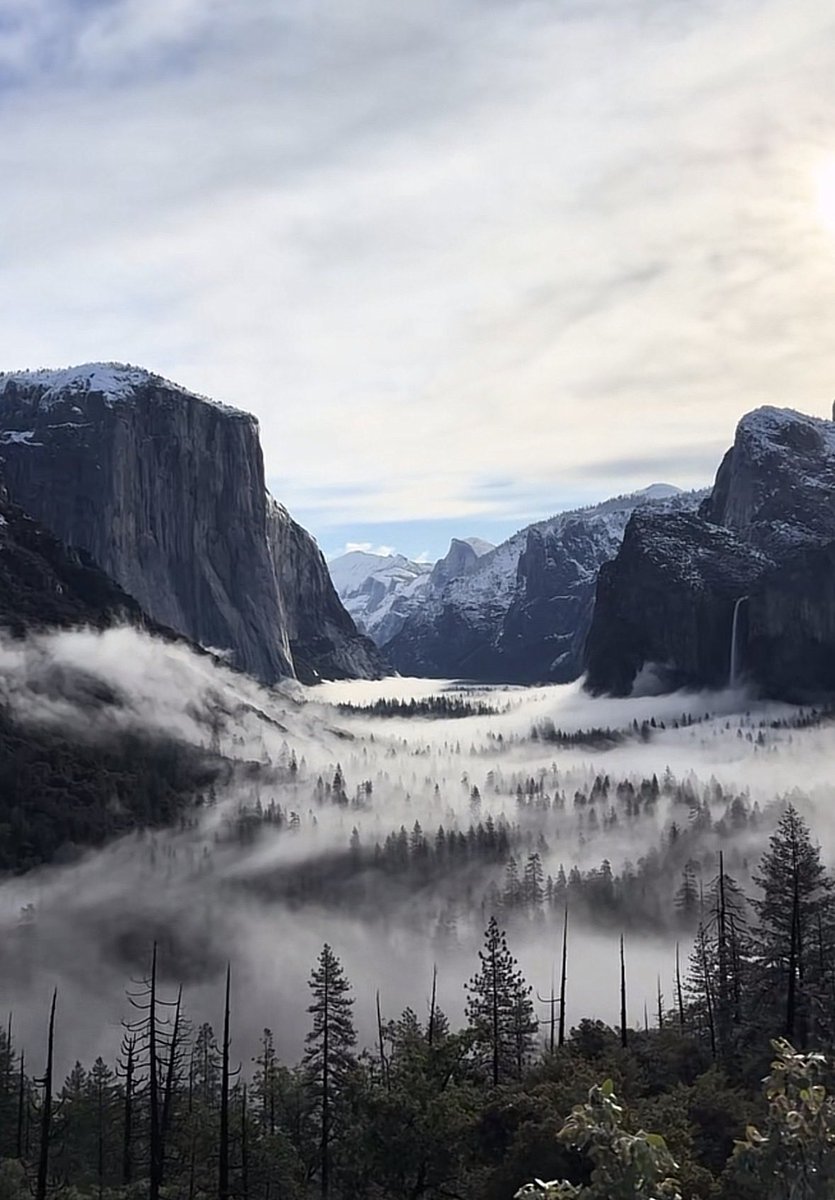 Boring_Business tweet media