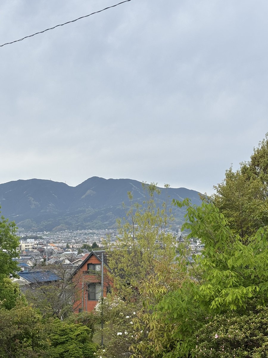 🤟😎よっこー😇👿 tweet media