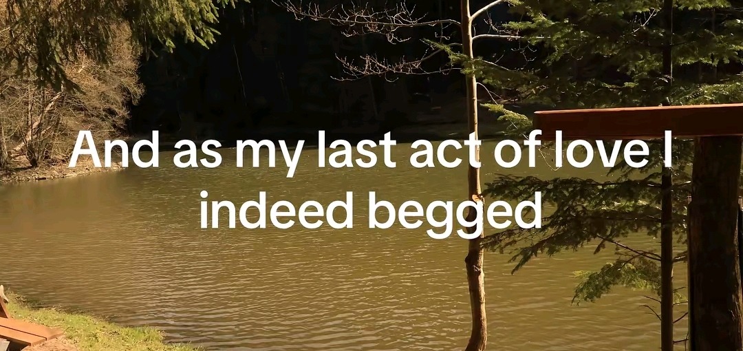 Vee's secret art account⭐ tweet media