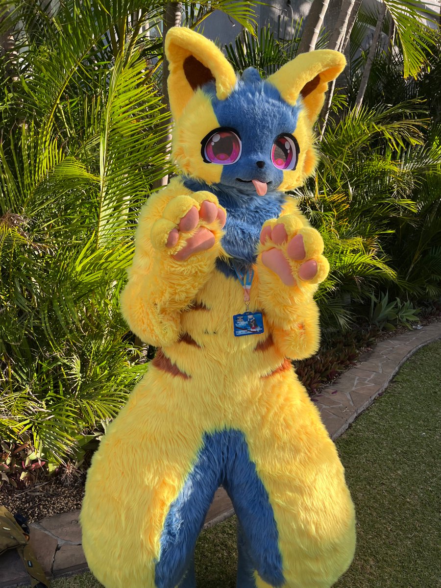 hthom32's tweet photo. Furdu 2026 photos part 63

Ft: @TillyWolf 
 
#Furdu #furdu2026 #furdu26 https://t.co/rzThLuoHwU