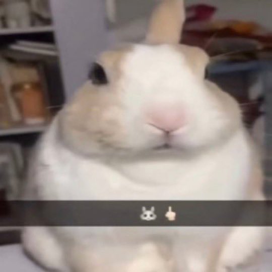 evann 🍎 tweet media