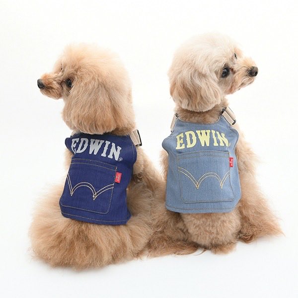 _onehappiness_'s tweet photo. ✦ EDWIN デニムライククールベスト（保冷剤付き） ✦
　
真夏のお散歩で背中が熱くなりやすい子へ。
その負担を少しでも和らげたい時に選びたい一枚です。

デニムの風合いが写真で映えて、  
いつもの散歩が少し特別に見えるデザイン。

https://t.co/0uqg3CN7Wg
　
#犬服 #ドッグウェア #春夏犬服 https://t.co/jklz1lSXCd