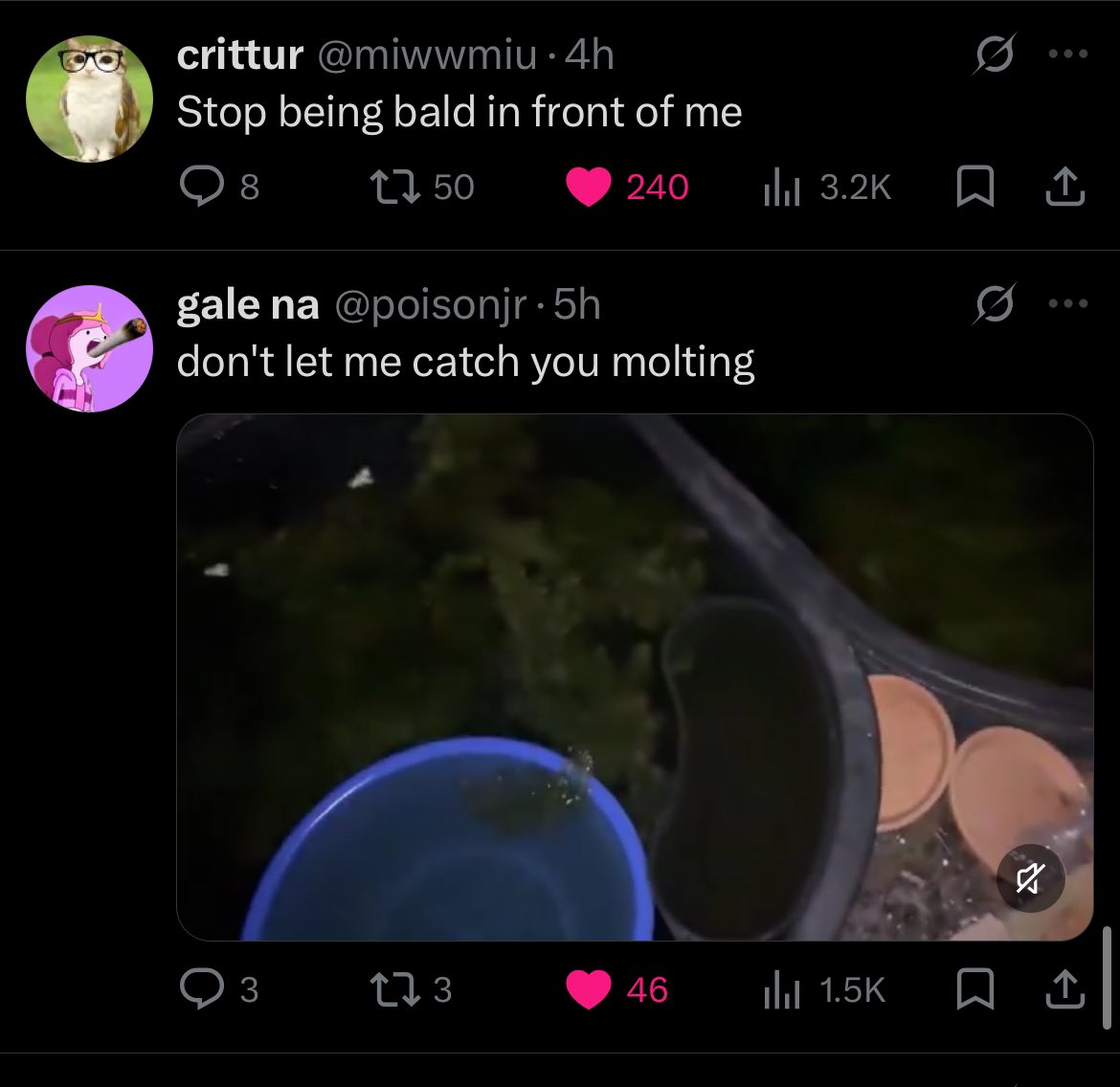 very baller cash money normal sane person tweet media