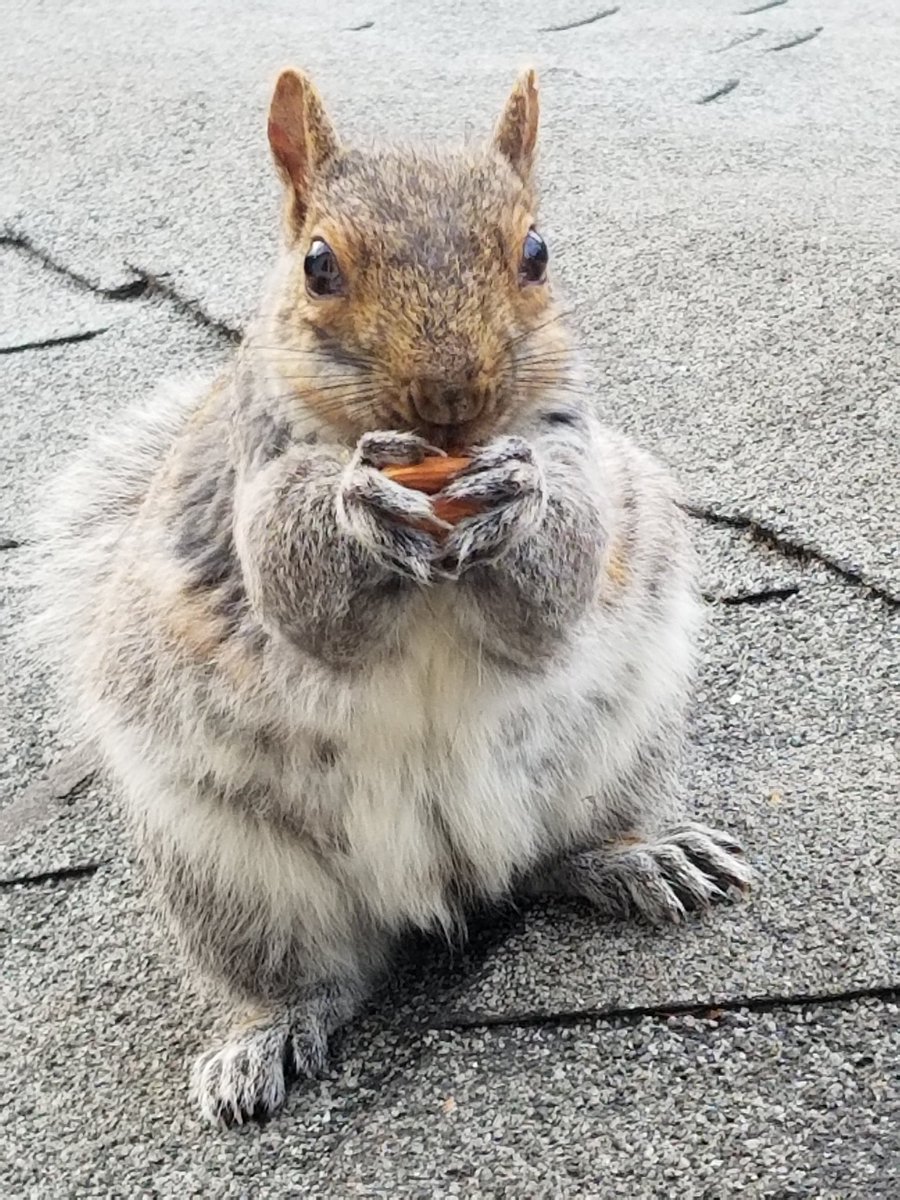 Bill Harnsberger tweet media