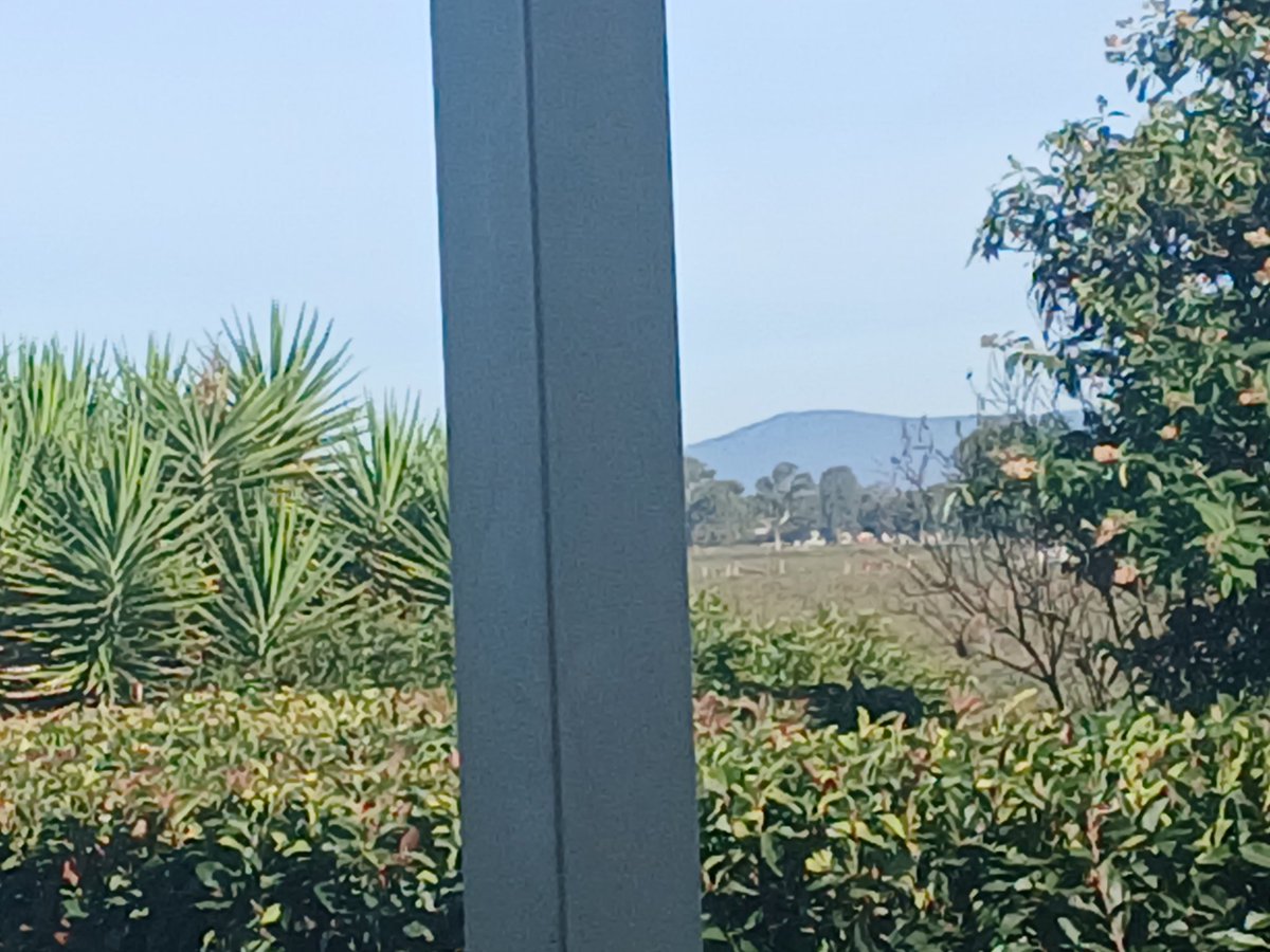 CathWe188398's tweet image. What a glorious view to wake up to? Approaching the snow #country. Property has paddocks, I going for a walk after breakfast 😋 

Have a good evening or day wherever you are around the world 🌎 ✨️ 😊 💙