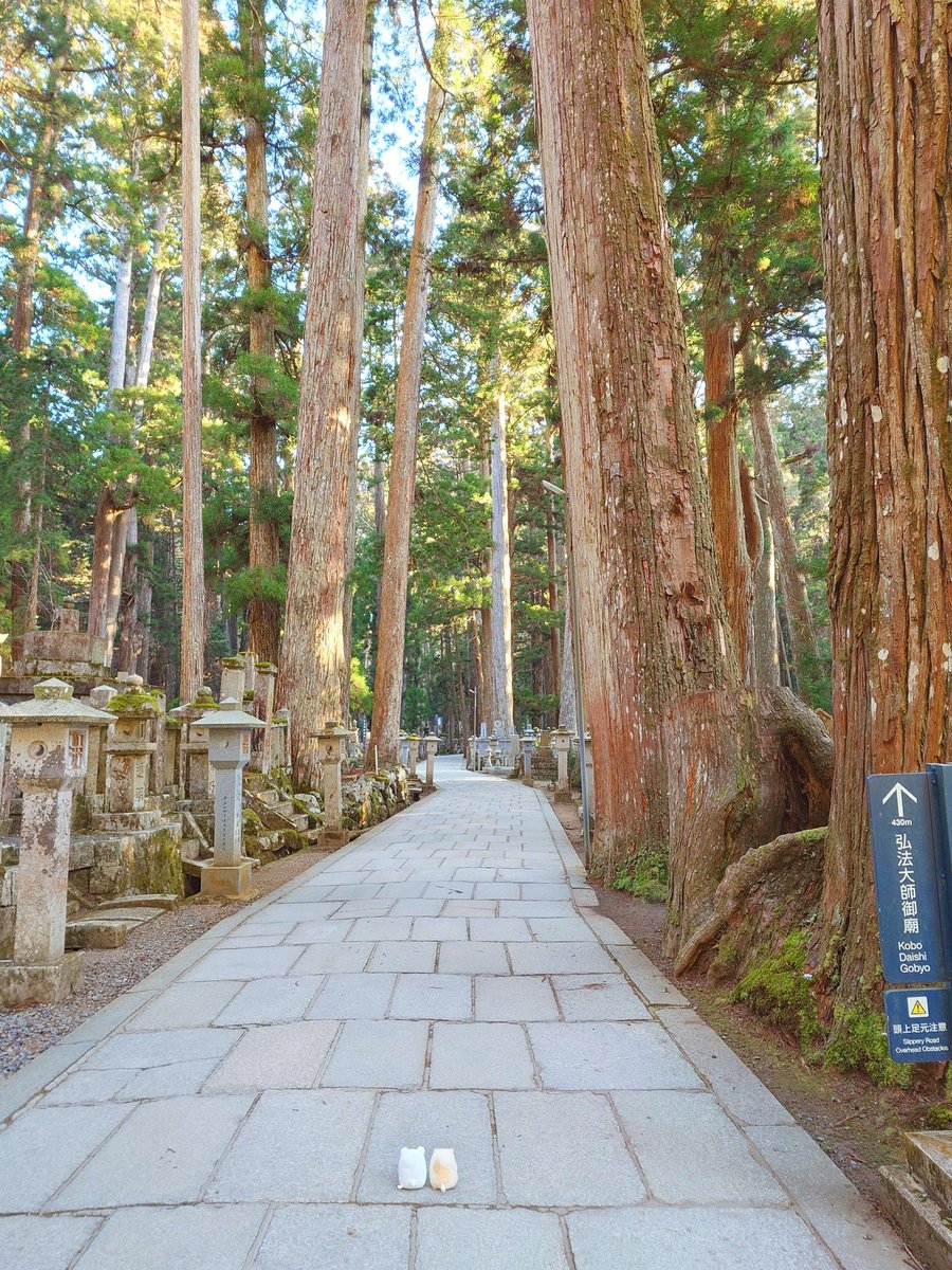 高野山大師堂【公式】 tweet media