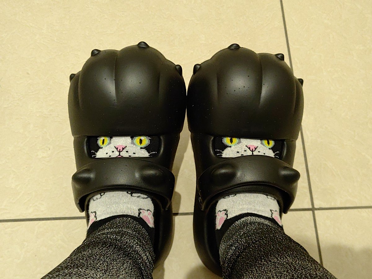 猫魈 時雨 🐈‍⬛ ͗🐾 6/6 九国物怪者 tweet media