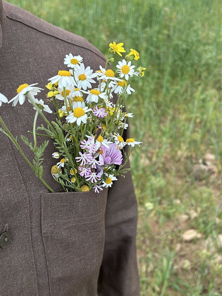 من اللي ما يحبّك يا مزيج النور والنوّير ؟
ملامحك الندية فيضة الحالم ومرباعه