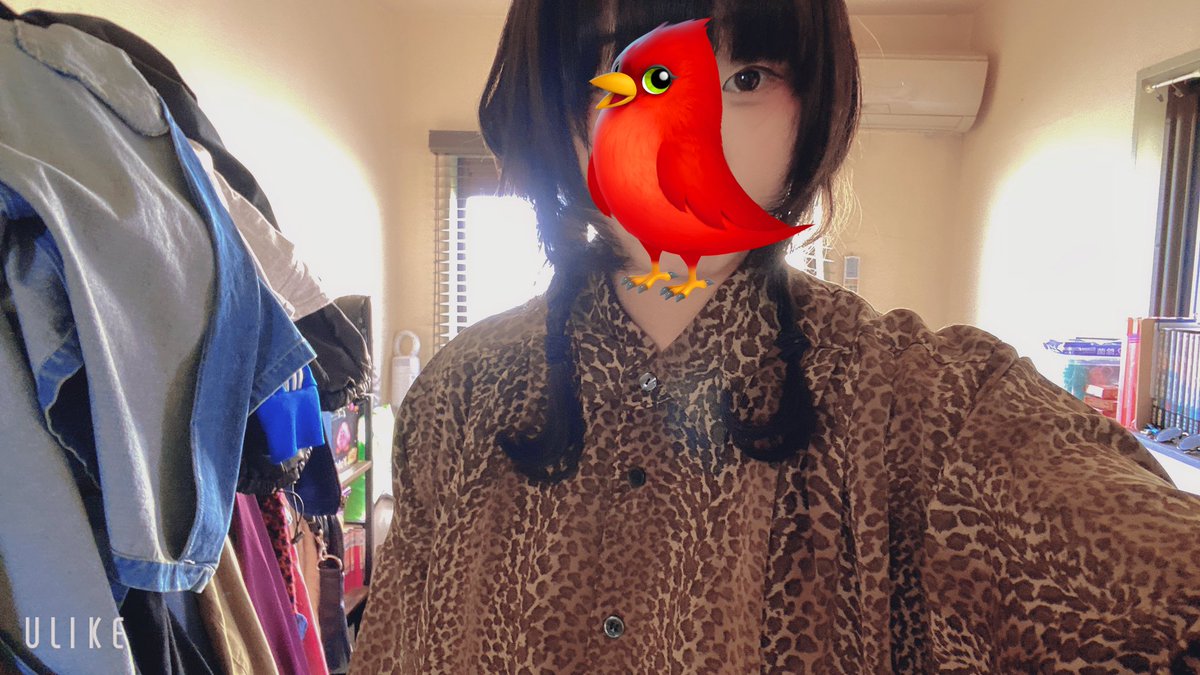 だみちゃん (@42taikise2) / Posts / X