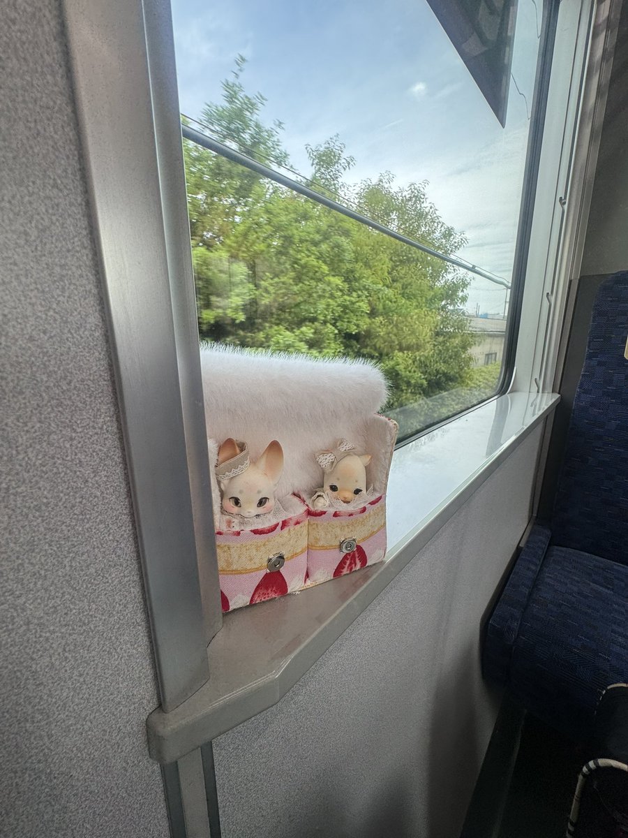 あづま。4/19I・Doll大阪B20 tweet media