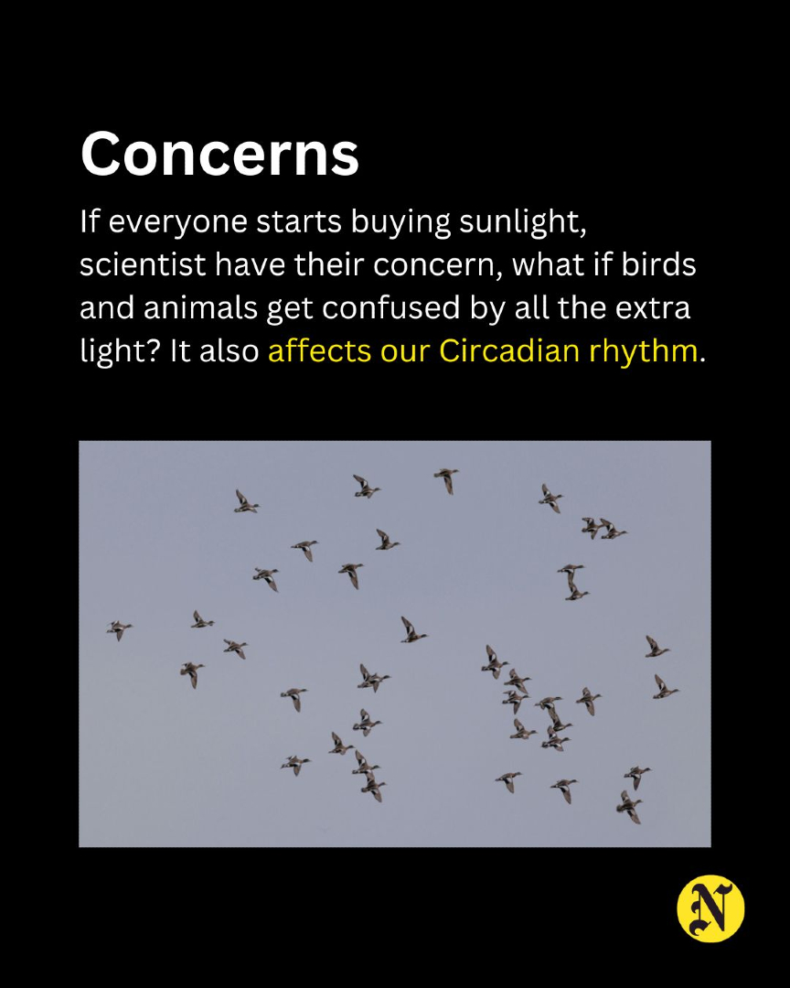 nibsnetwork's tweet image. 2.5 Lakh people are already on their waitlist. 
This is insane!
#sun # startup #innovation #technology #sunlight