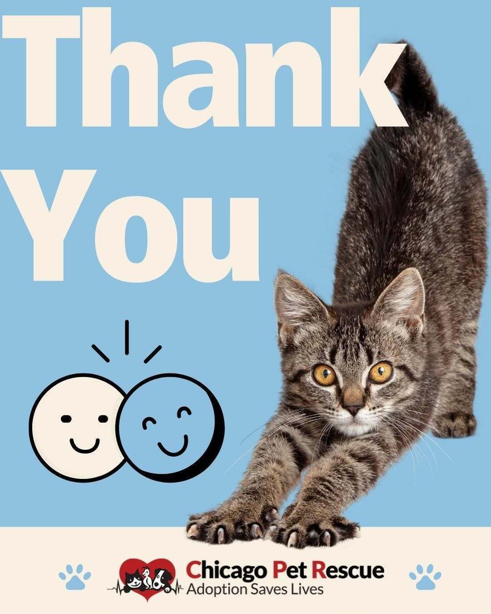 Chicago Pet Rescue tweet media