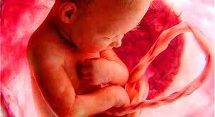 LifeNews.com tweet media