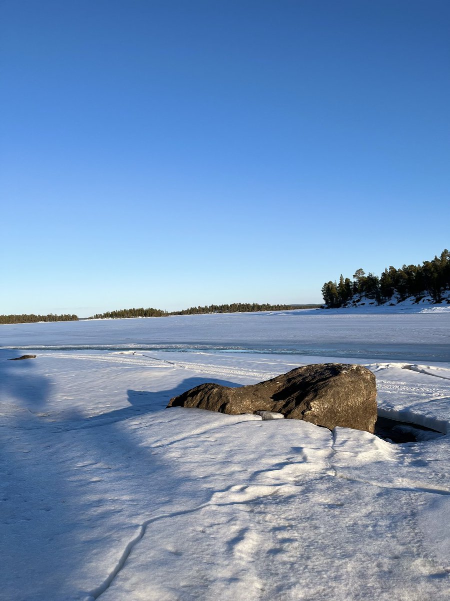 Anu Avaskari tweet media