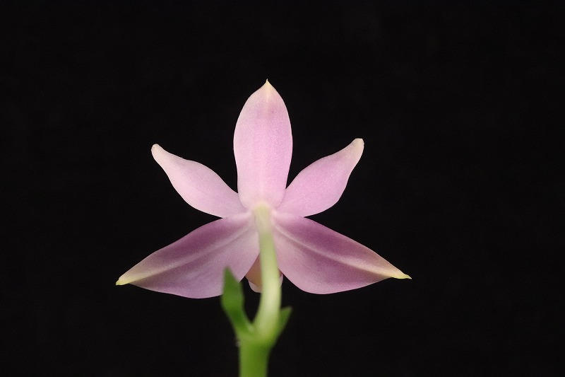 【NK】 tweet media