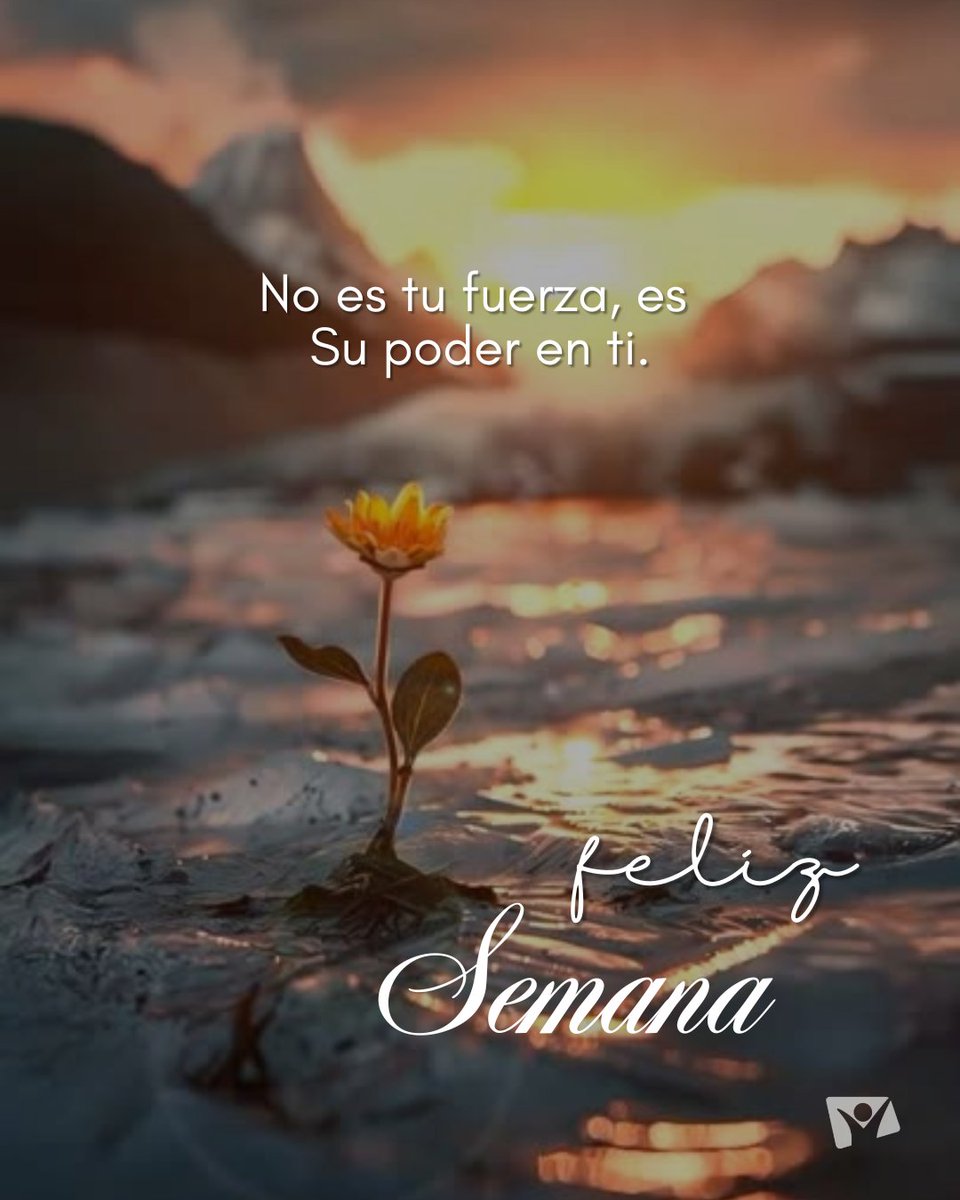 Deja de medir la montaña y empieza a confiar en el Guía 🤍.

Lo que hoy te preocupa, ya está bajo su cuidado. Todo estará bien🫂.

Feliz Semana 🙌