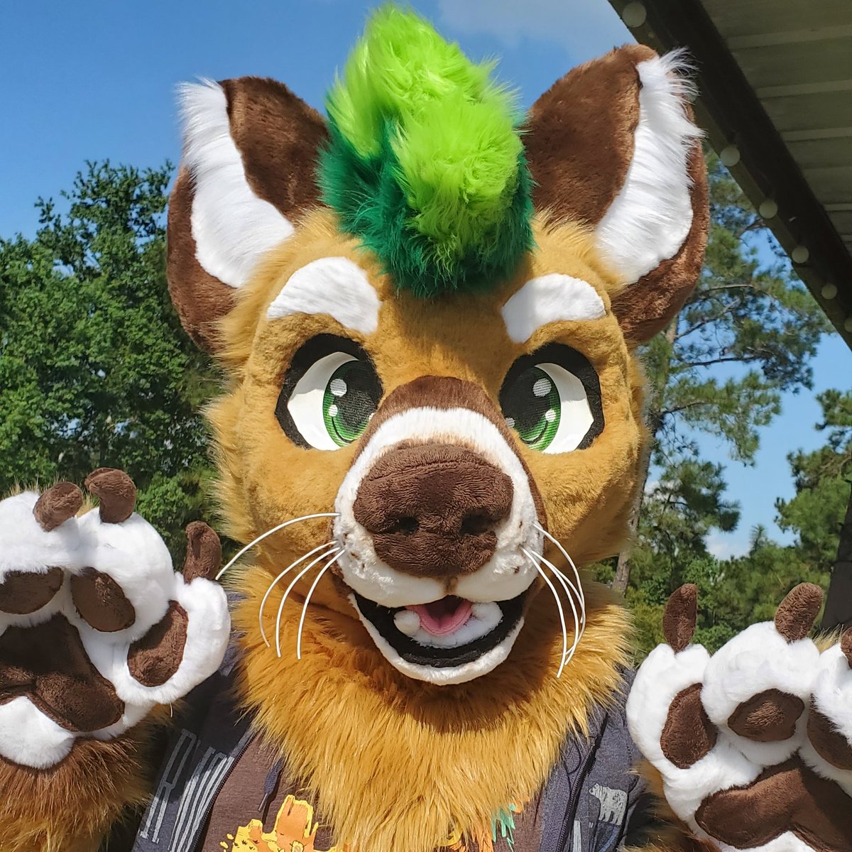 Glitzy Fox Studios GOH Furg 🎀 tweet media