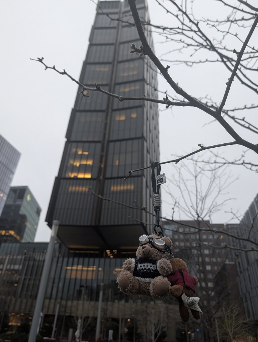 この子はなんでこんなところで風に揺られているんだろう？