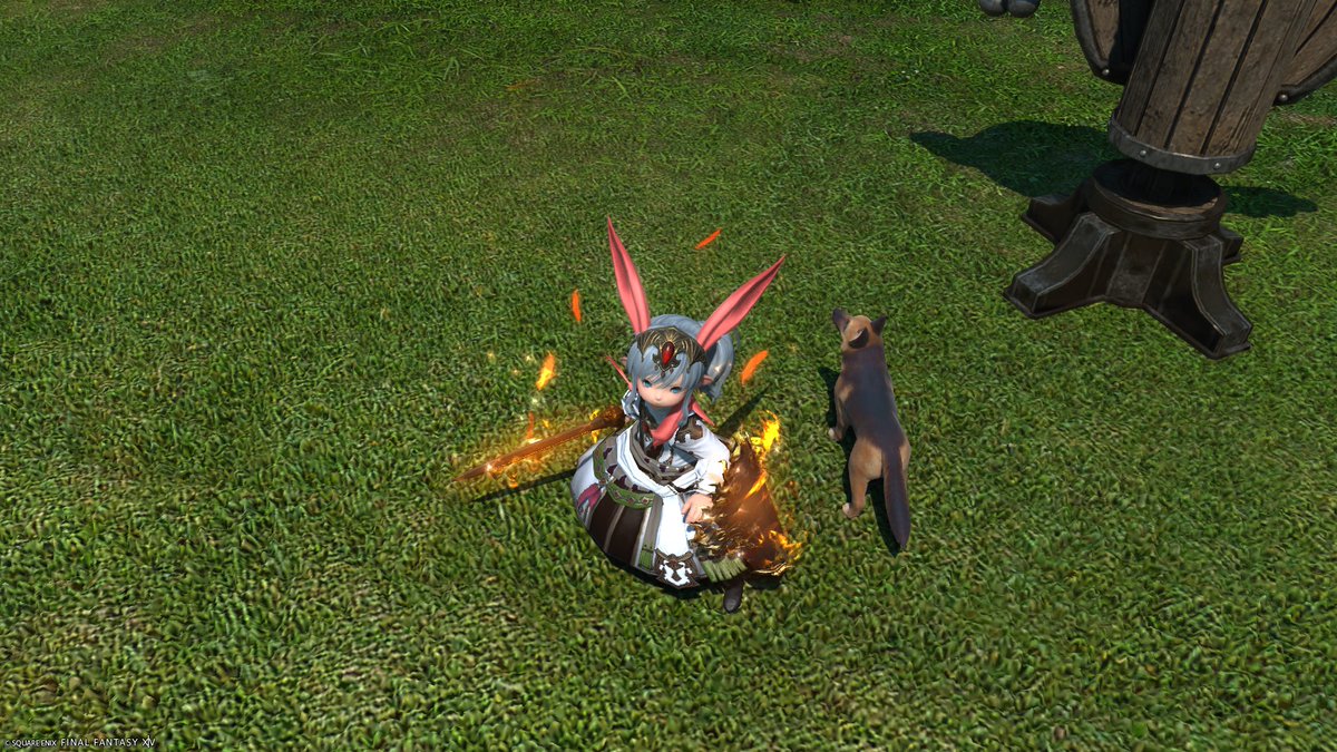 ぽめきゅん tweet media