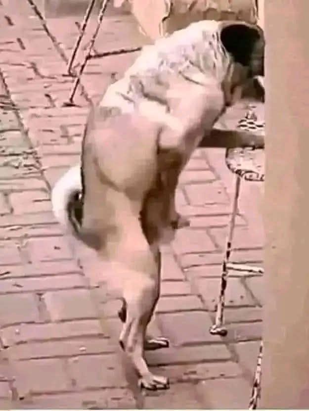 Eugene Winterwolf tweet media