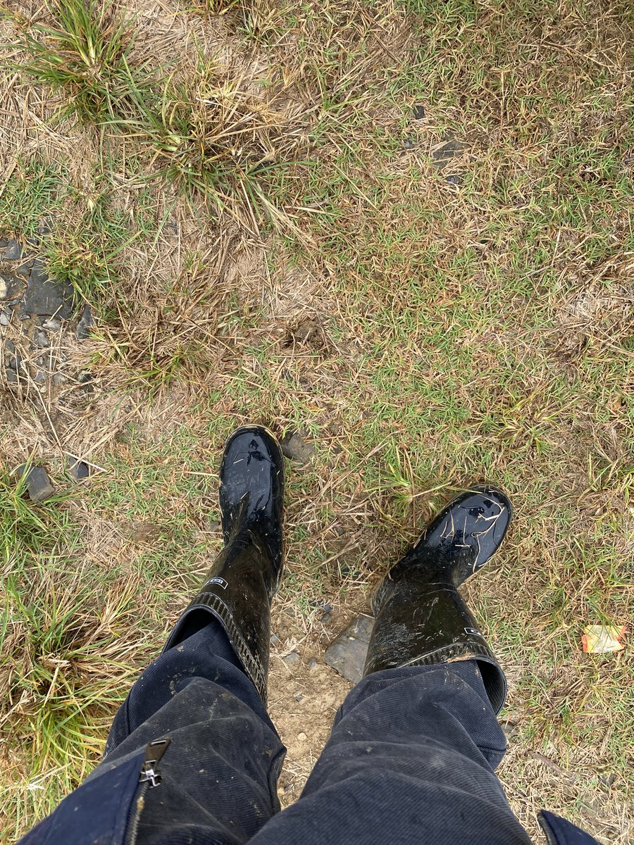 Latex者者 tweet media