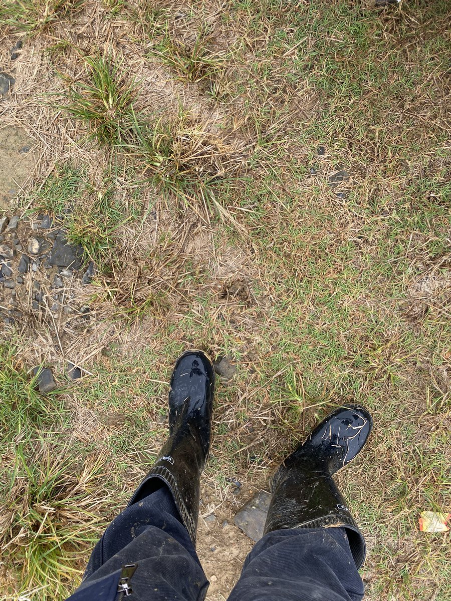 Latex者者 tweet media