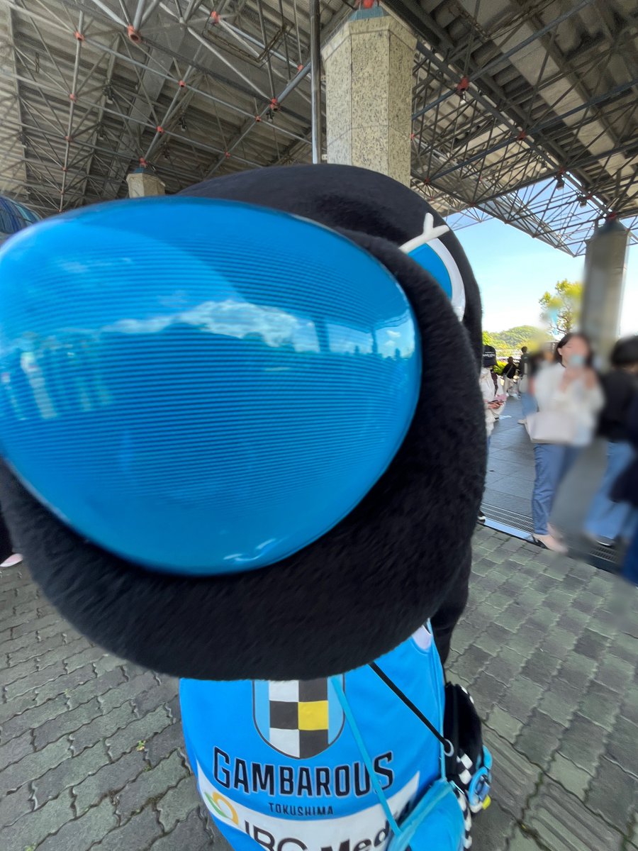 tmrt18's tweet photo. 撮影嫌い？😂
#懐っこい
#バロウ
#徳島ガンバロウズ https://t.co/5sonMZ7pHu