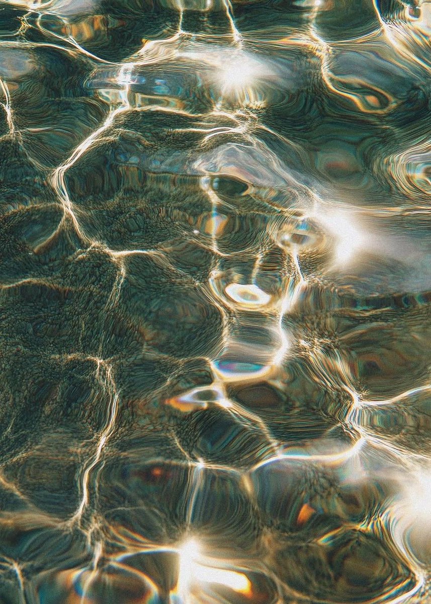 𝑙𝑦𝑟𝑎 tweet media