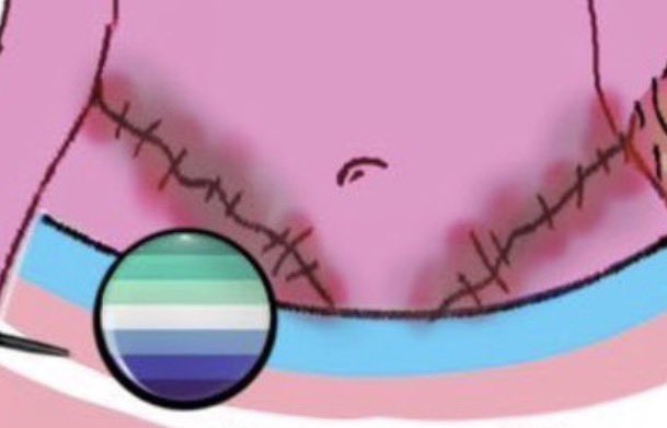 DreamLeaf 🌱🌻 🍉 tweet media