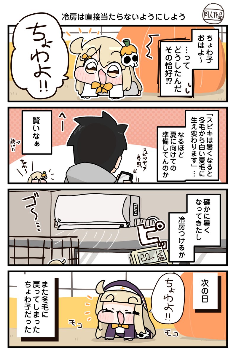 テラ西。 tweet media