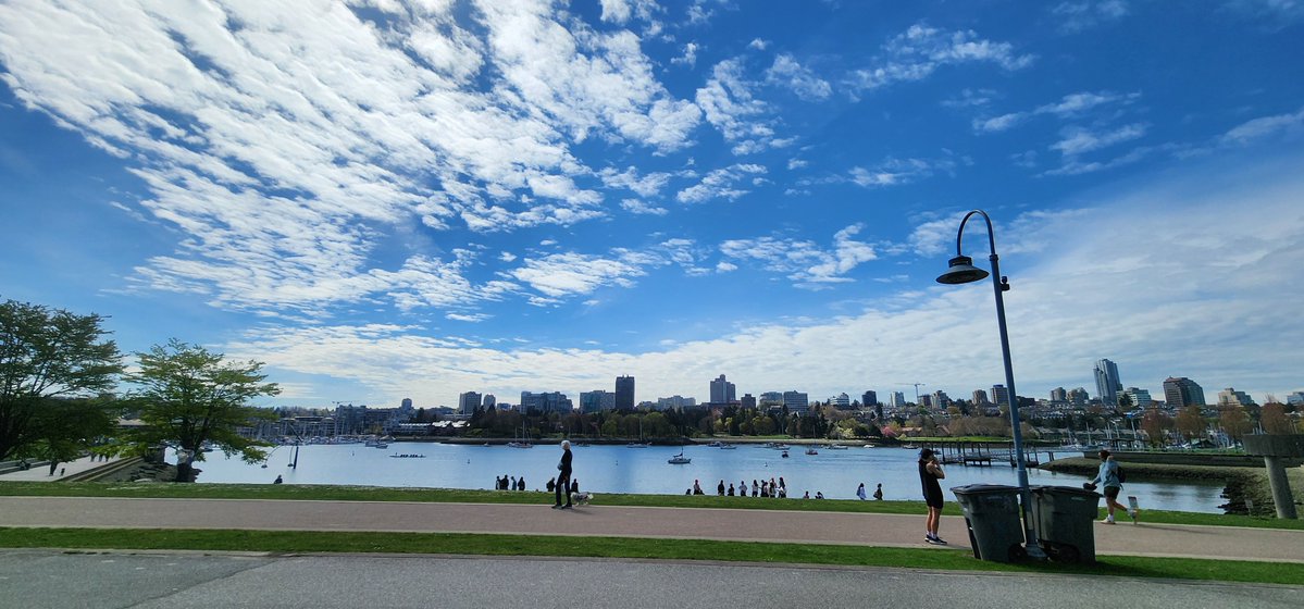 Alejandro Zayas tweet media