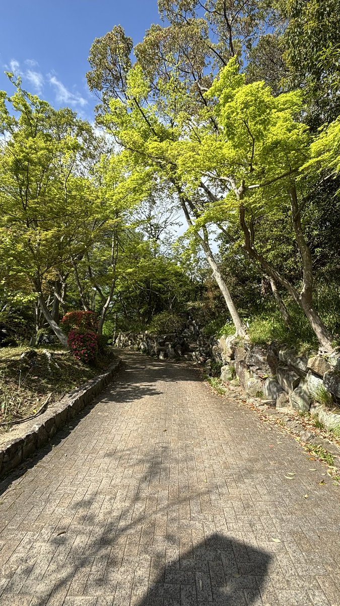 【神威3】桜東郷。526号(澄原里菜)@阪神MBSRウィーク/キュアズキューン tweet media