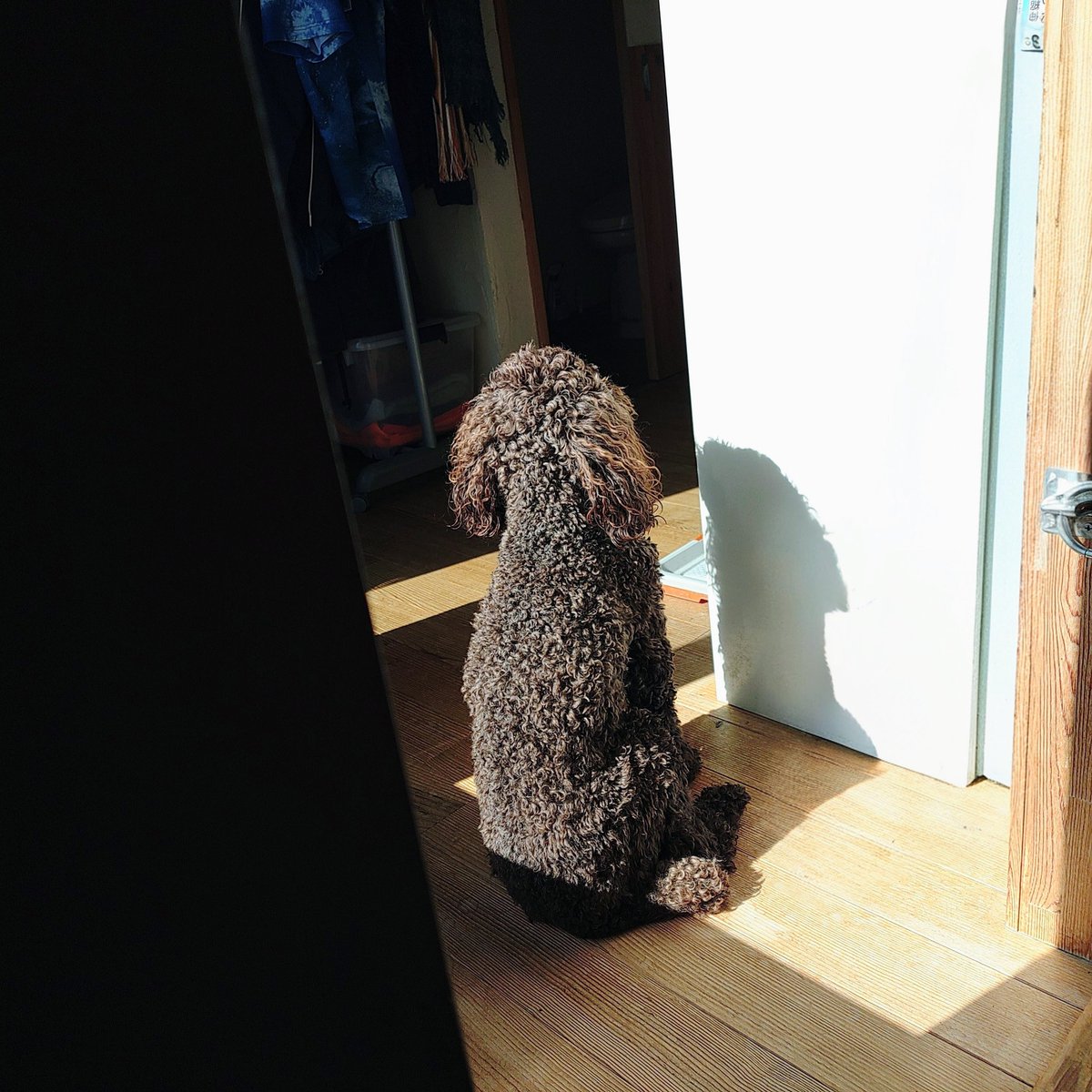 居酒屋 点 tweet media