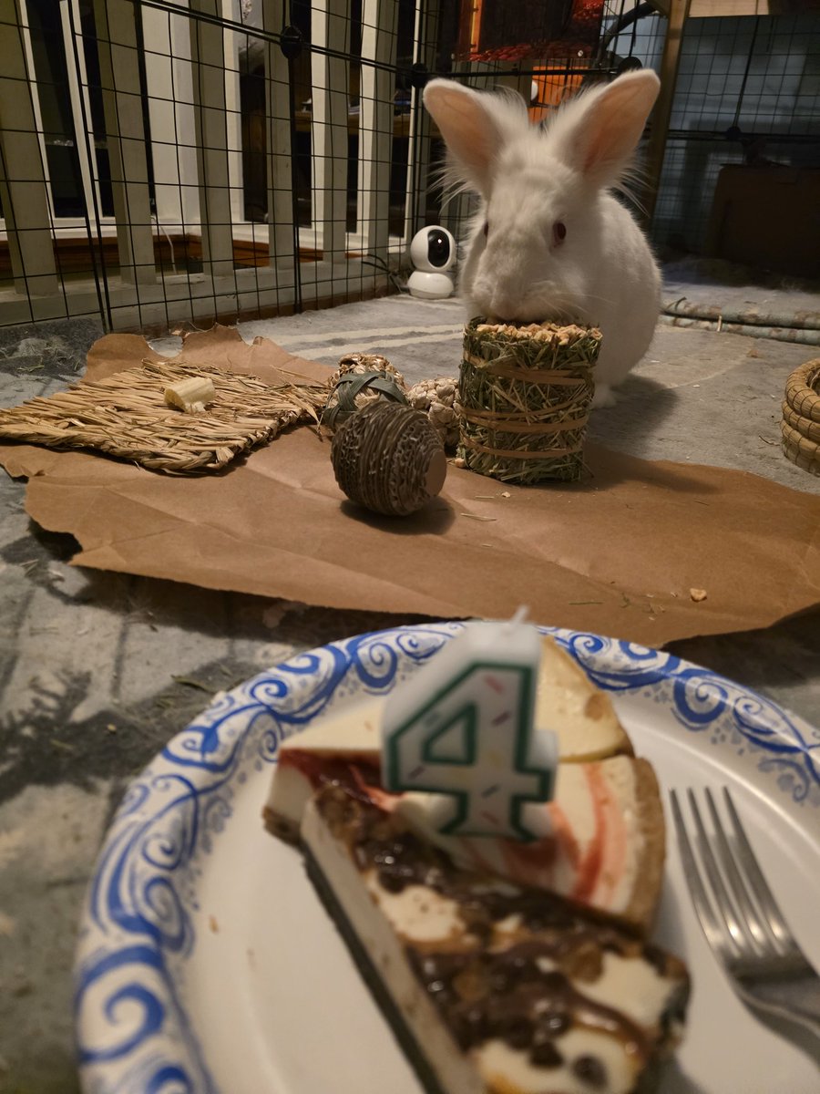 MarcusLoner's tweet photo. HAPPY BIRTHDAY @TheBunnyGandalf ❤️❤️❤️❤️❤️ https://t.co/33sQfTvINl