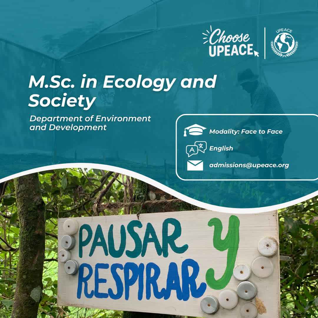 UPEACE's tweet photo. Want to work at the intersection of people and nature?
Study at UPEACE and strengthen your impact.
⏳ Deadline approaching
Apply now: https://t.co/lQ3h9oz0Yw
#ChooseUPEACE #UPEACE #SustainabilityCareers #Environment #GraduatePrograms https://t.co/LlaDWQcSE0