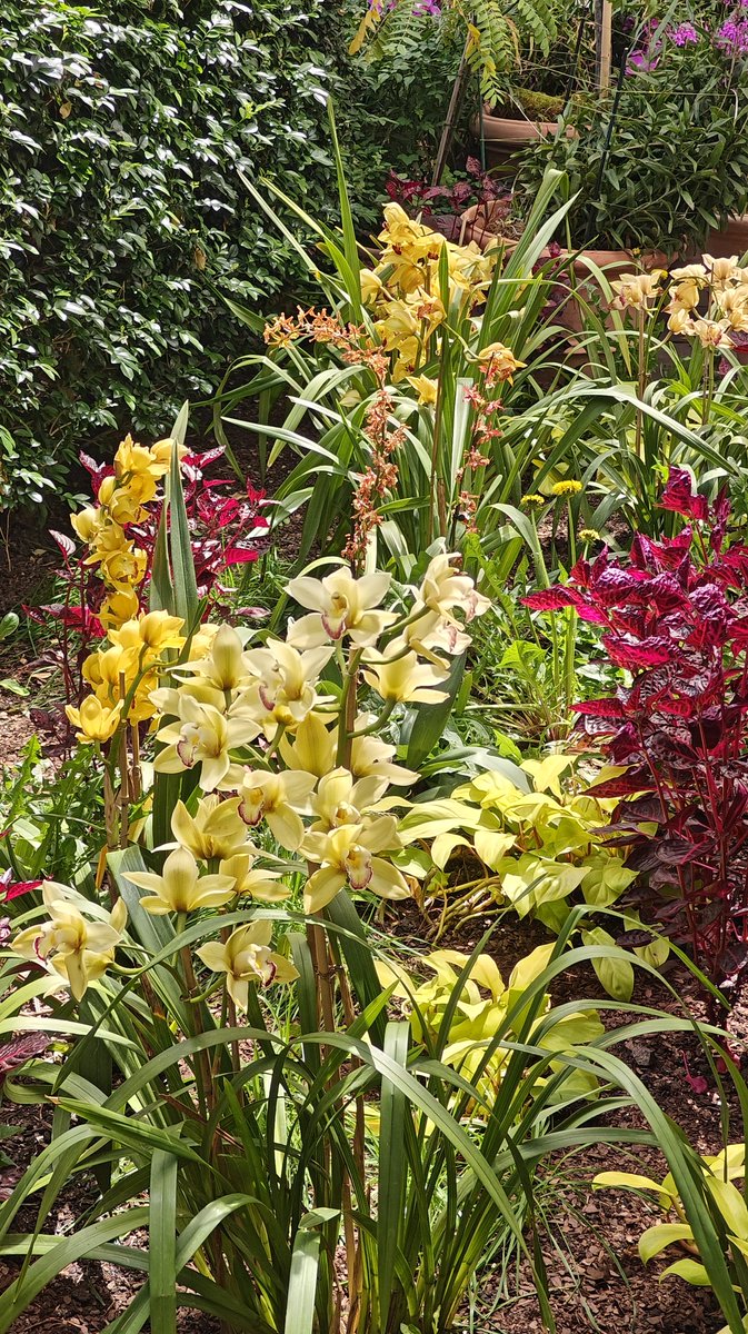 PeaceIslandsNY's tweet image. The Riverside Church and Peace Islands NY came together for a walking tour of NY Botanic Gardens. It was a lovely spring day, blooming flowers and warm conversations

#interfaith